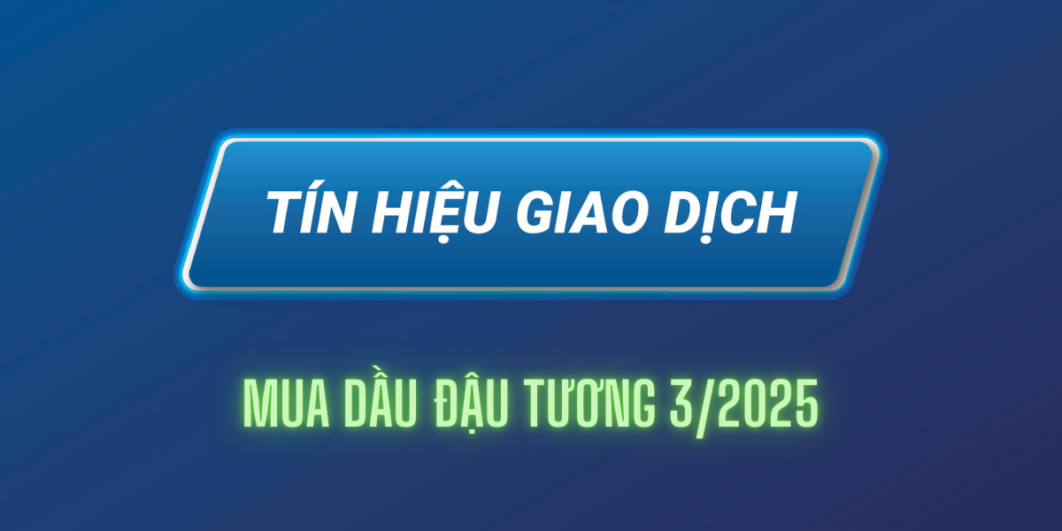 mua dau tuong
