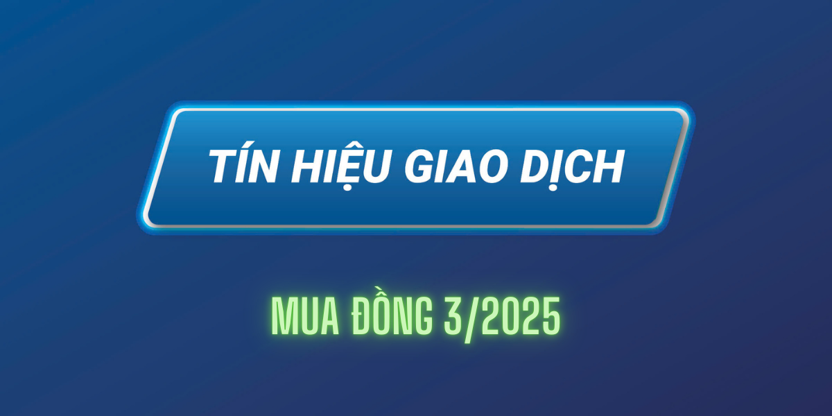 mua dong 325