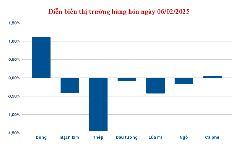 dien bien thi truong hang hoa ngay 06 02 2025