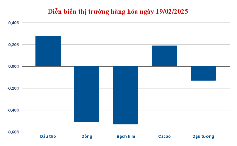 dien bien thi truong hang hoa ngay 19 02 2025