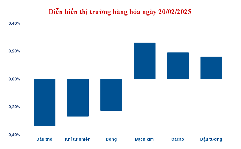 dien bien thi truong hang hoa ngay 20 02 2025