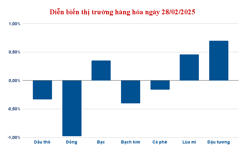 dien bien thi truong hang hoa ngay 28 02 2025