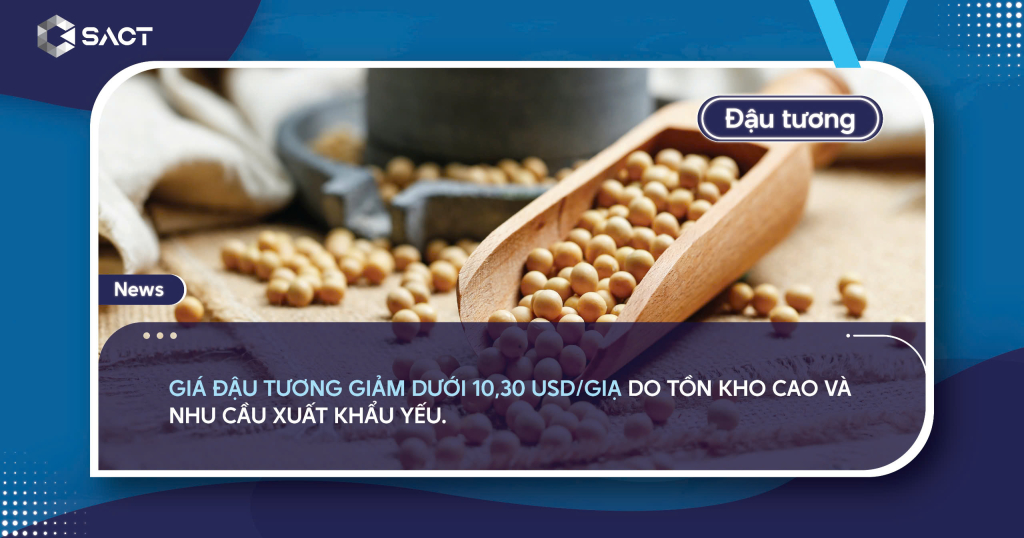 Bản tin thị trường hàng hóa tổng hợp ngày 13/02/2025 3 n dautuong132