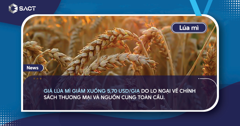 Bản tin thị trường hàng hóa tổng hợp ngày 13/02/2025 4 n lm132