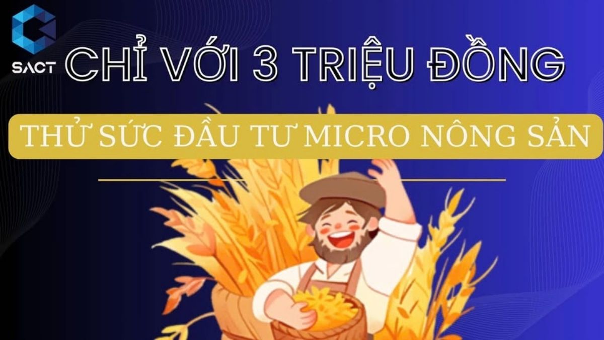 Giá Cà Phê Hôm Nay 24/6: Tăng Vọt Gần 5% Gây Sốc, Lo Ngại Sương Giá Tại Brazil 3 Đầu tư Micro nông sản