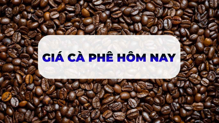 giá cà phê hôm nay