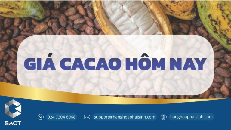 giá cacao hôm nay