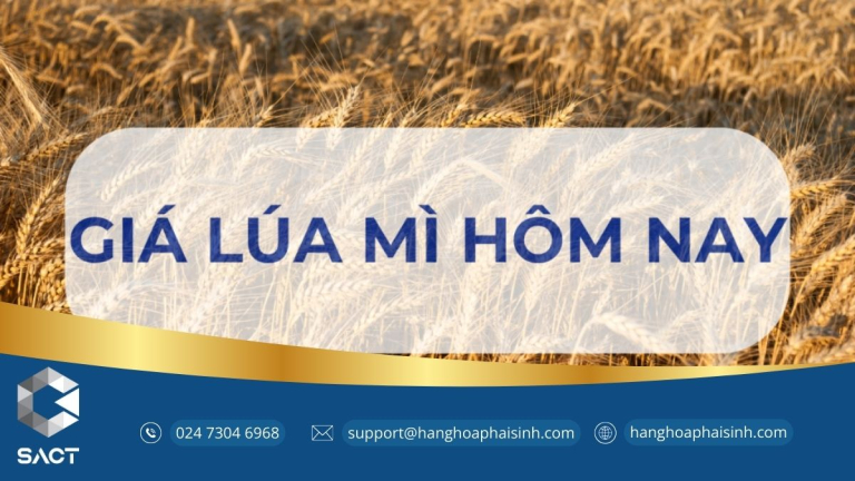 Giá lúa mì hôm nay