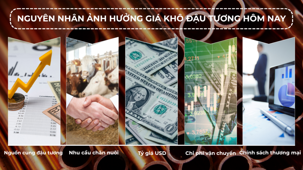 Giá Khô Đậu Tương Hôm Nay 2025: Cập Nhật Liên Tục Hằng Ngày 2 kho dau tupon