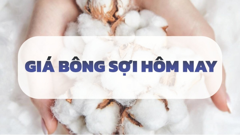 giá bông sợi hôm nay