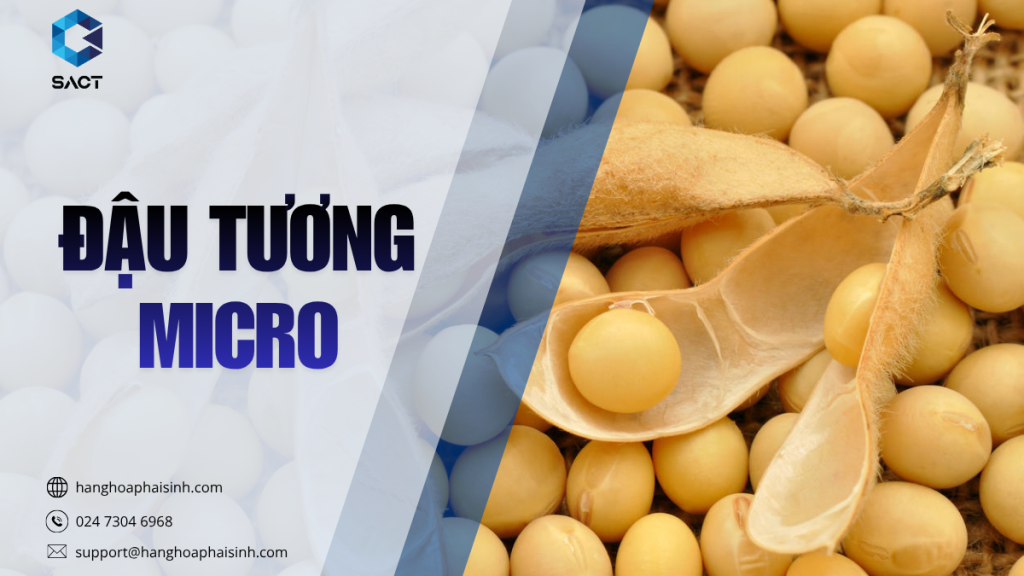 đậu tương micro