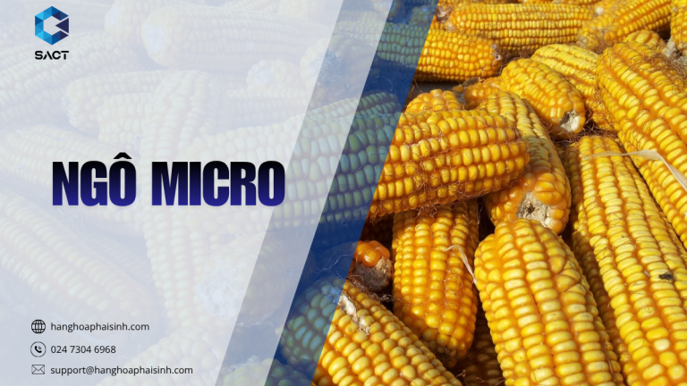 Ngô Micro