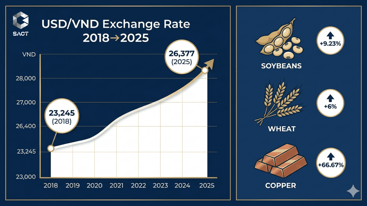 Biểu đồ tỷ giá USD/VNĐ tăng từ 23.245 năm 2018 lên 26.377 năm 2025 và mức tăng phí giao dịch hàng hóa quốc tế CBOT, COMEX